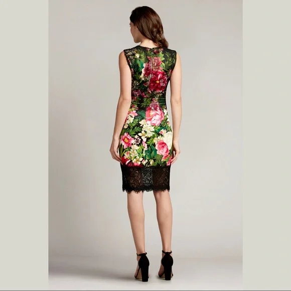 TADASHI SHOJI - LILA NEOPRENE & LACE DRESS